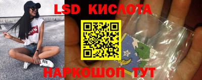 стафф Камышлов