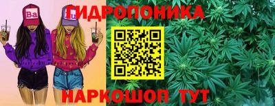 амф Кимры