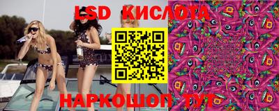 стафф Камышлов